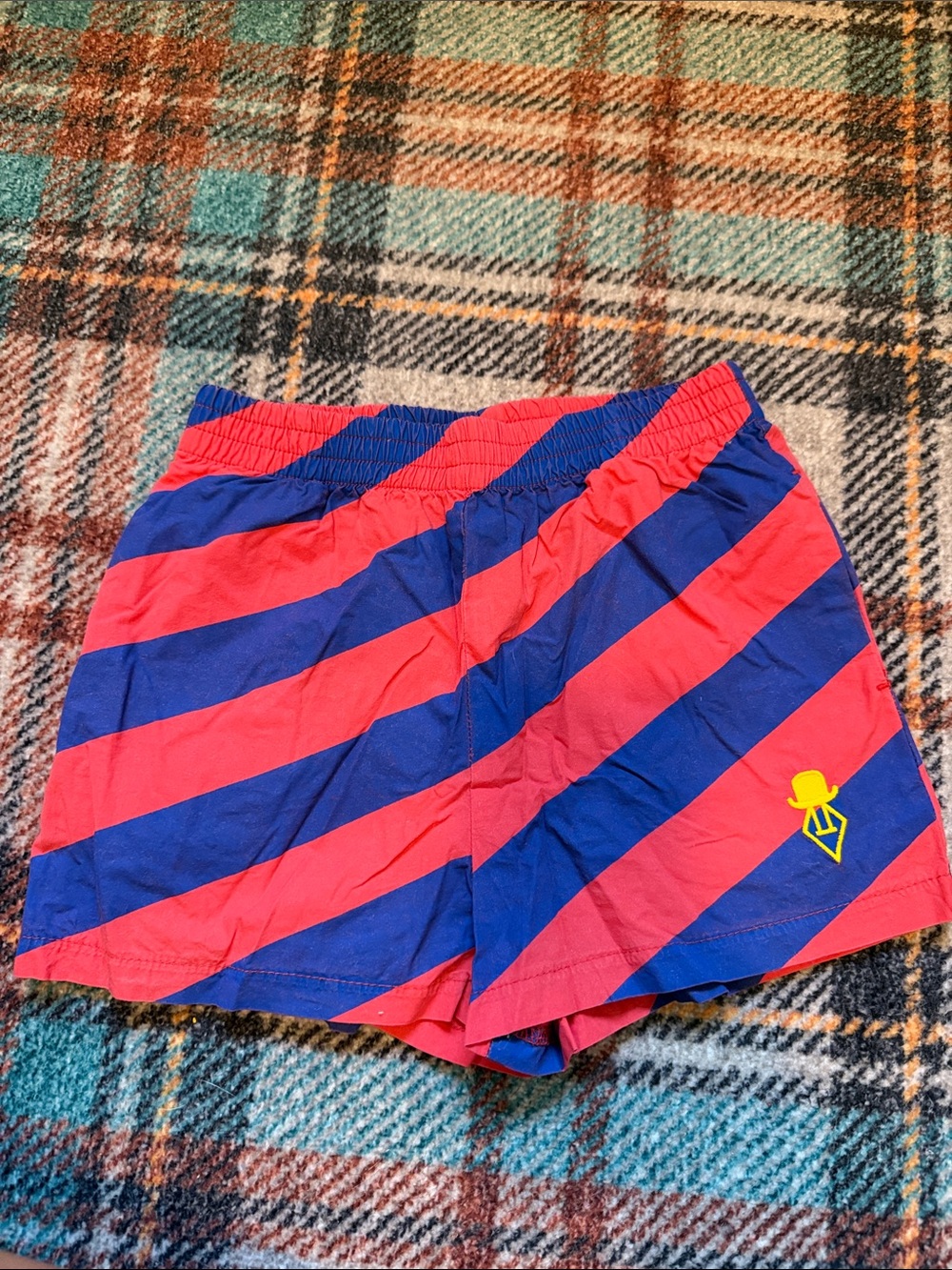 TAO Red and Blue Striped Shorts